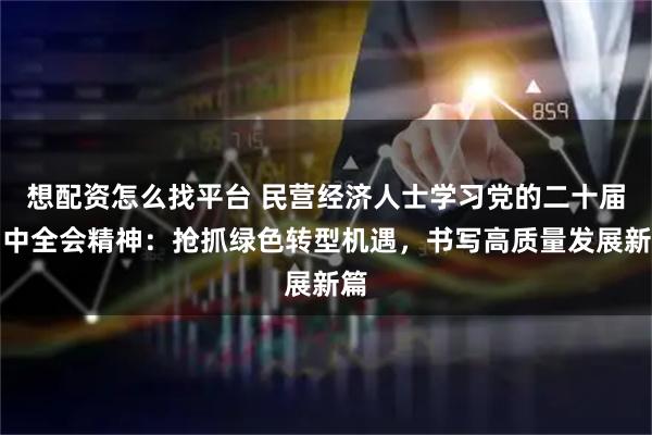 想配资怎么找平台 民营经济人士学习党的二十届四中全会精神：抢抓绿色转型机遇，书写高质量发展新篇