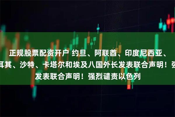 正规股票配资开户 约旦、阿联酋、印度尼西亚、巴基斯坦、土耳其、沙特、卡塔尔和埃及八国外长发表联合声明！强烈谴责以色列