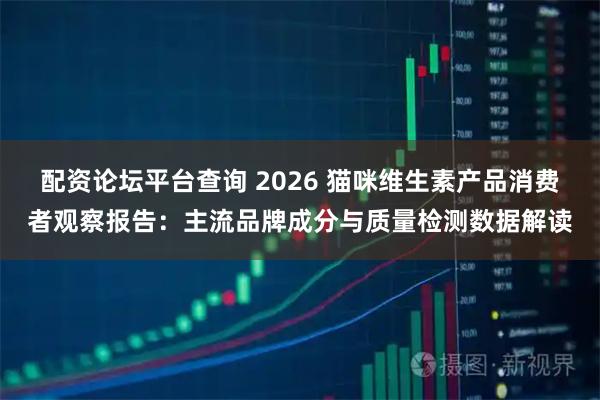 配资论坛平台查询 2026 猫咪维生素产品消费者观察报告：主流品牌成分与质量检测数据解读